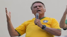 Did ex-Brazilian president Jair Bolsonaro harass a whale?