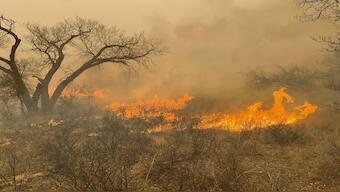A fast-moving wildfire burning through the Texas Panhandle grew into the second-largest blaze in state history, forcing evacuations and triggering power outages as firefighters struggled to contain the widening flames. AP