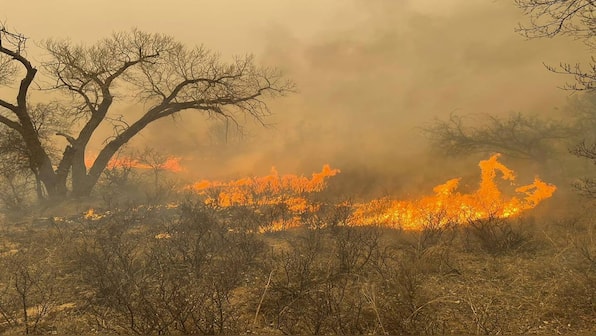 Why the Texas wildfire spread so quickly, becoming the state's second-largest ever