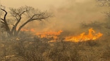 Why the Texas wildfire spread so quickly, becoming the state's second-largest ever