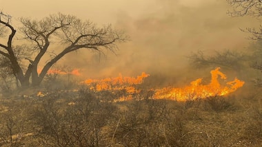 Why the Texas wildfire spread so quickly, becoming the state's second-largest ever