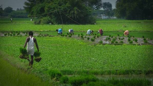 Why is India correct in seeking ‘permanent solution’ for food security at WTO