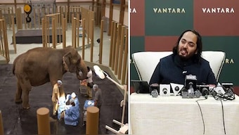 Anant Ambani will have the silent blessings of millions of animals and animal lovers as he and his fiancée Radhika Merchant embark on the next phase of their life together—and take Vantara forward too.