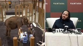 Why Anant Ambani is different from other animal philanthropists