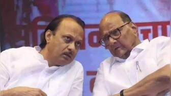 EC awards NCP symbol to Ajit Pawar faction, allows Sharad Pawar group to claim new name