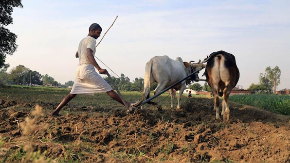 Empowering agriculture: Prioritising farmers and addressing sector challenges
