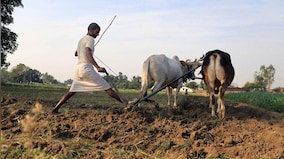 Empowering agriculture: Prioritising farmers and addressing sector challenges