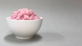 What is South Korea’s lab-grown ‘beef rice’, touted as ‘food of the future’?