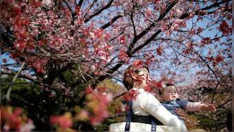 Japan has been facing a population crisis due to low birth rate Image Courtesy Reuters