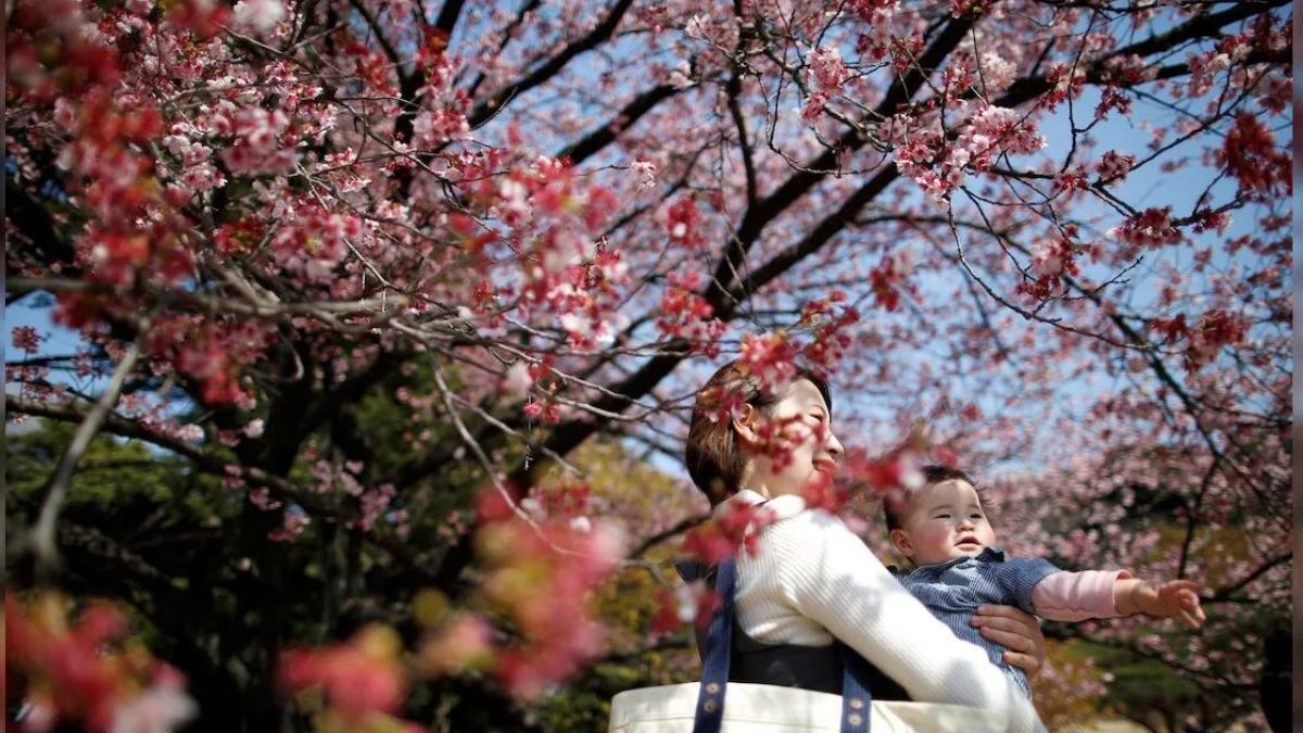 Japan: Population crisis deepens as birth rate hits record low Japan: Population crisis deepens as birth rate hits record low