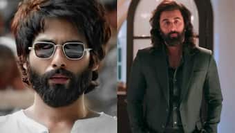 Will Kabir Singh and Ranbir Kapoor starrer Animal’s Ranvijay will come together in Animal Park? Shahid Kapoor reacts