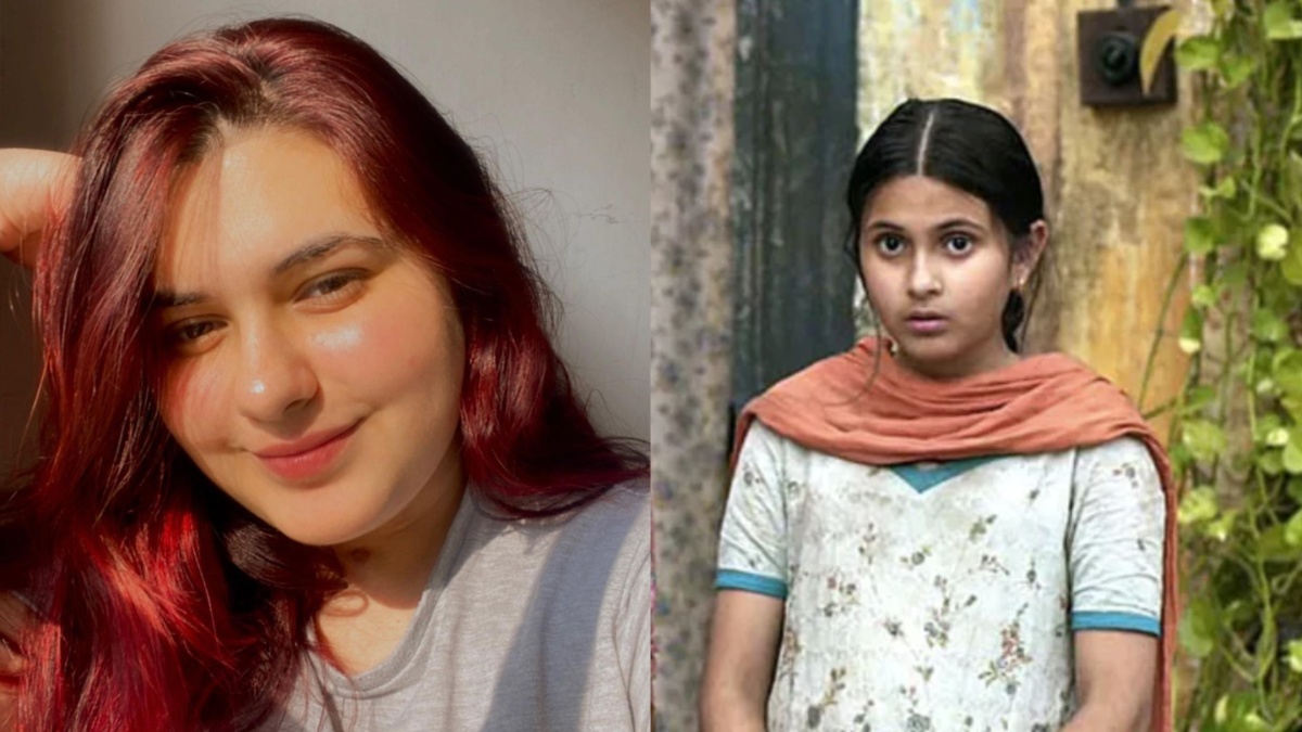 Aamir Khan's Dangal co-star Suhani Bhatnagar death: How dangerous can dermatomyositis get | Explained Aamir Khan's Dangal co-star Suhani Bhatnagar death: How dangerous can dermatomyositis get | Explained