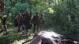 Alia Bhatt’s ‘Poacher’ web-series review: A unique, uncomfortable take on man-animal conflict