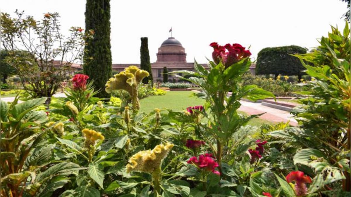 In Graphics | What's blooming at Amrit Udyan? What is the best time to visit?