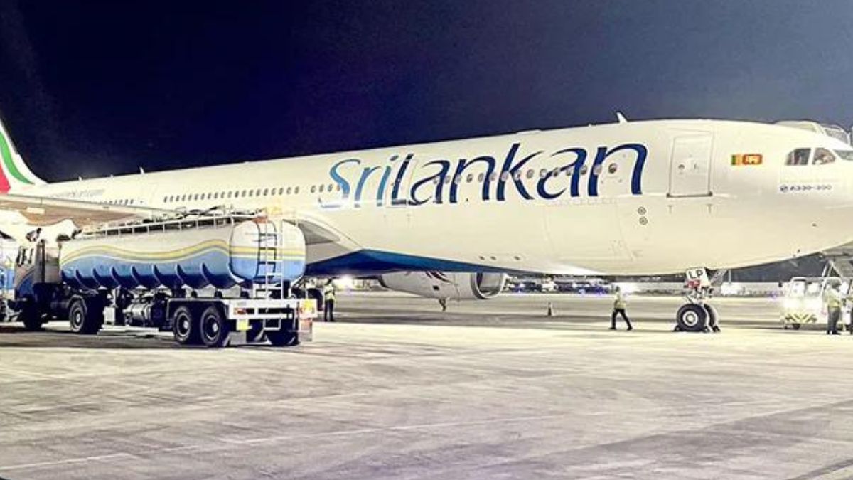 Sri Lanka: Rat grounds national airline for 3 days, sparks investor concern Sri Lanka: Rat grounds national airline for 3 days, sparks investor concern