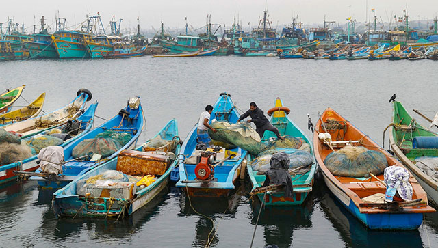 Tamil Nadu fishers ready to set sail into electoral politics amid issues with Sri Lanka Tamil Nadu fishers ready to set sail into electoral politics amid issues with Sri Lanka