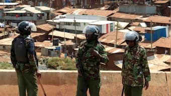 Del Monte faces allegations of bribery and covering-up deaths of 4 people caught stealing pineapples at Kenya farm