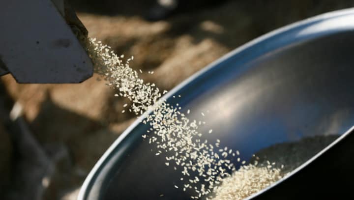 Nigerians eating 'throw-away' rice amid cost of living crisis