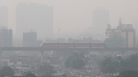 Air pollution keeping foreign industrialists away from India, says German official