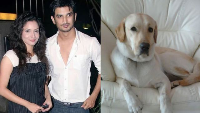 Ankita Lokhande's pet dog, which was a gift from ex-boyfriend Sushant Singh Rajput, passes away Ankita Lokhande's pet dog, which was a gift from ex-boyfriend Sushant Singh Rajput, passes away