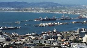 How bad is the stench of 19,000 cattle cramped in a ship? Cape Town says 'unimaginable'