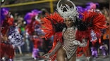 How rising dengue cases could play party pooper at Rio Carnival