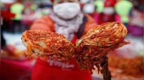Can you lose weight by eating kimchi each day?