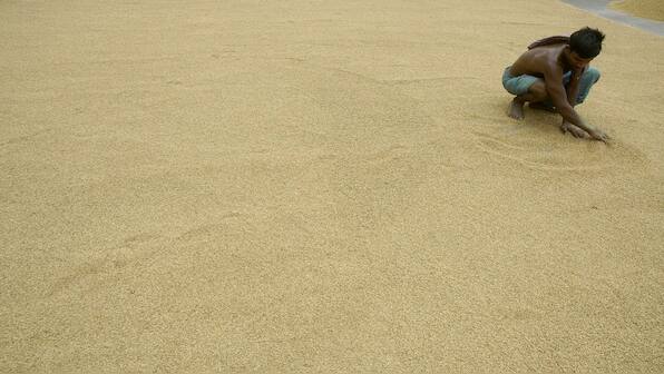 Is India losing out to Pakistan in basmati rice war?