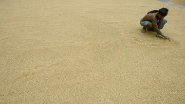 Is India losing out to Pakistan in basmati rice war?