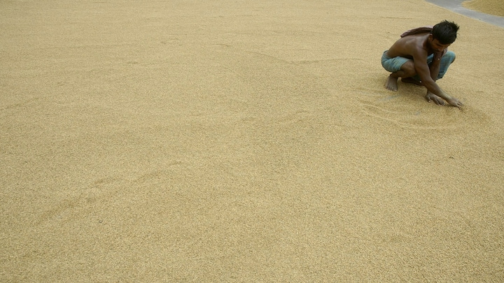 Is India losing out to Pakistan in basmati rice war?