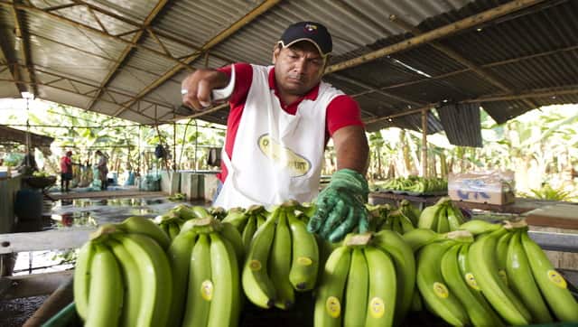 bananas
