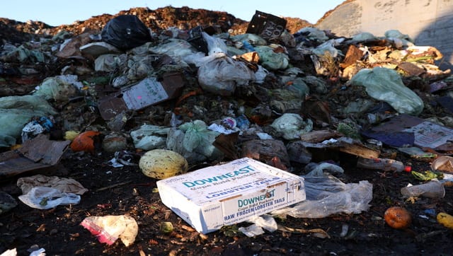 food waste
