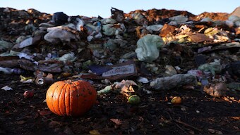 Food waste is a global problem. Reuters File Photo