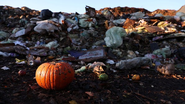 Over 78 crore people face chronic hunger. Here’s how much food the world is still wasting