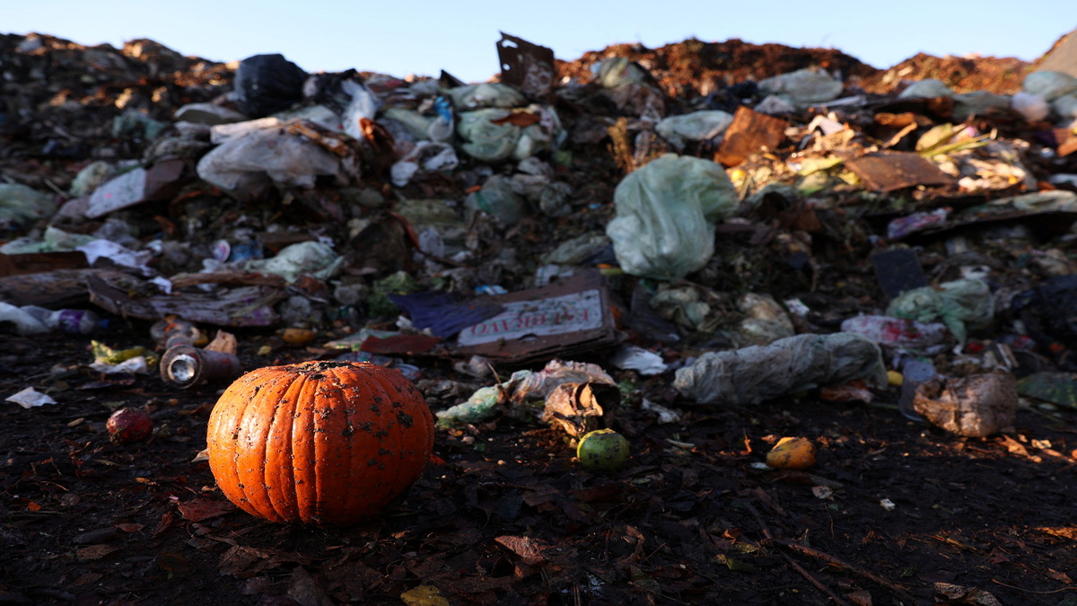 Over 78 crore people face chronic hunger. Here’s how much food the world is still wasting Over 78 crore people face chronic hunger. Here’s how much food the world is still wasting