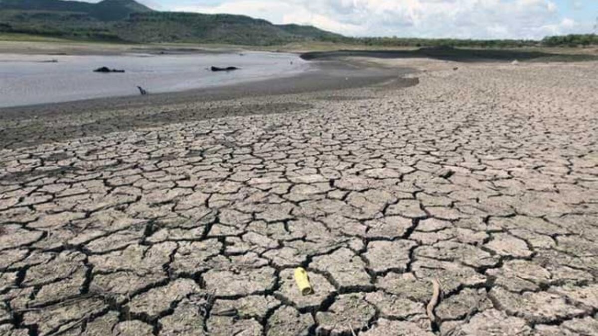 2023 El Nino among 5 strongest on record, will fuel heat in 2024: Report