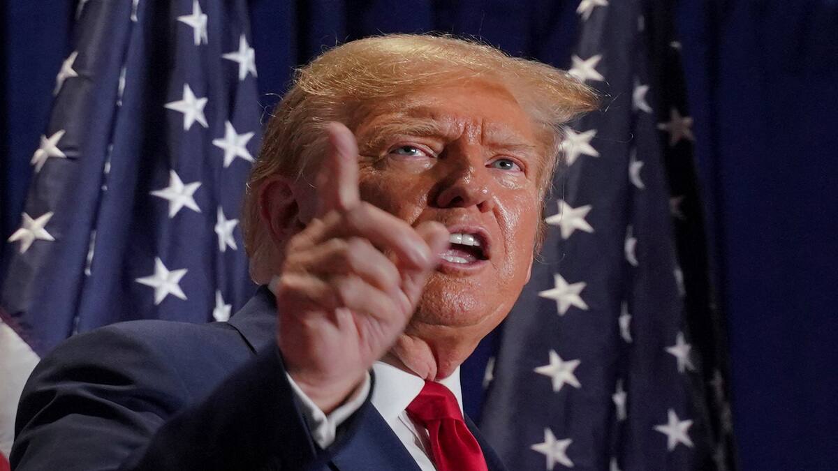 donald trump 
