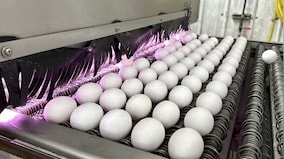 Why your eggs will cost more this Easter
