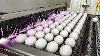 Egg prices are at near-historic highs in many parts of the world as the spring holidays approach. AP