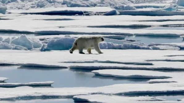 Arctic's first ice-free summer day may occur within a decade, study finds