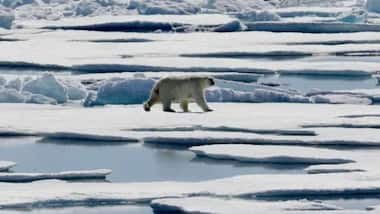 Arctic's first ice-free summer day may occur within a decade, study finds