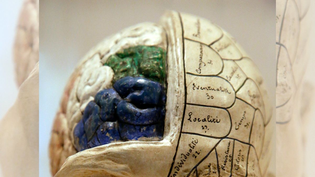 World Brain Day: Importance of raising awareness and early detection of brain tumours World Brain Day: Importance of raising awareness and early detection of brain tumours