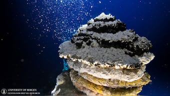 Deep sea mystery. Reuters