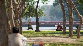 Weather report: Delhi experiences colder March, but summer to set in at end of month