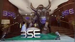 Amid global rally, Nifty touches new high after 14 months, Sensex crosses 86,000 for first time