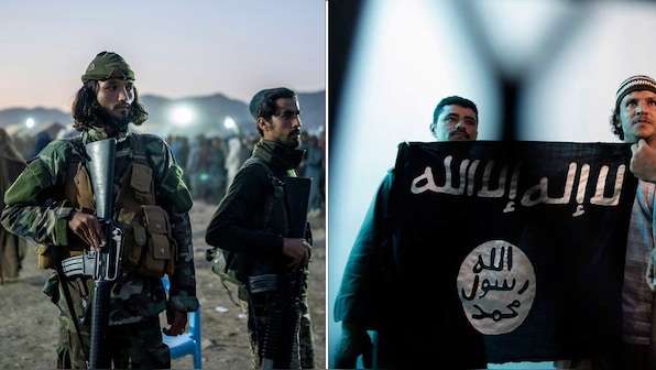 Blood brothers: Al Qaeda, Taliban and the pledge that binds them in 2024