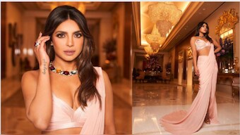 Priyanka Chopra stuns in a pink cocktail saree at Isha Ambani's 'Roman Holi' party; here's what it means