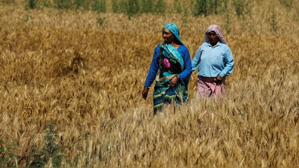 UN reveals climate change disproportionately affects women farmers who manage households in poor nations