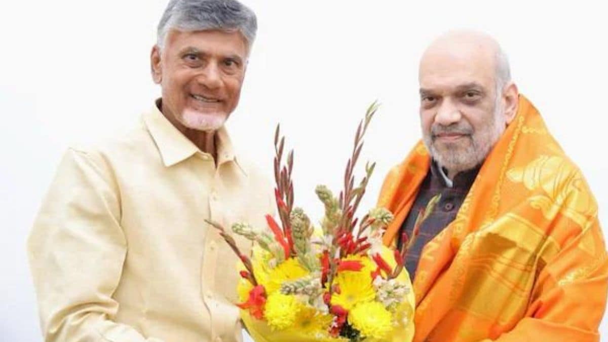 BJP seals deal with Chandrababu Naidu 6 years after split, to run LS polls with TDP & Jana Sena in Andhra