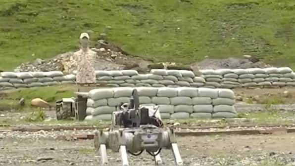 Canines at War: Watch out for China's robotic dogs equipped with arms